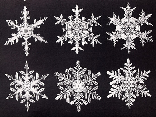 Fine-Art-Photo 4, Snow Crystals