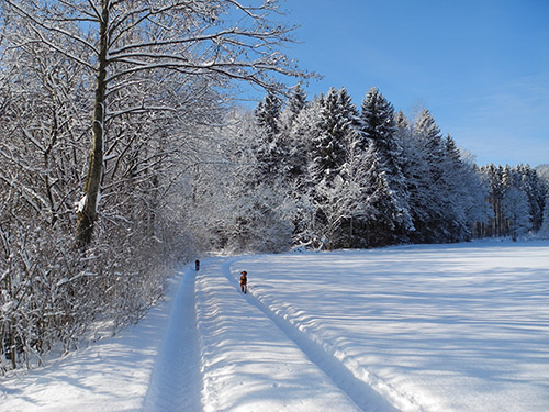Fine-Art-Photo 5, Winter-Wonderland