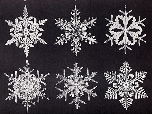 Fine-Art-Photo 6, Snow Crystals