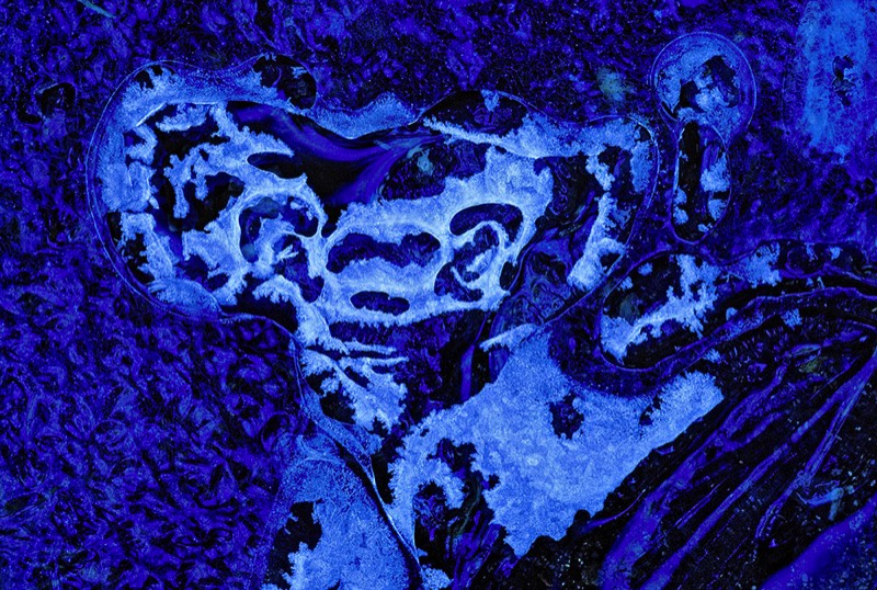 gallery 1, Fine Art Photo Mask in Blue